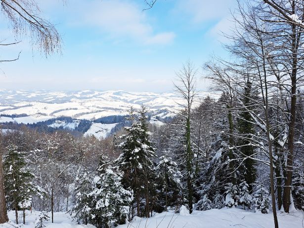 Kauschlerhof Ferienhaus Region Winter