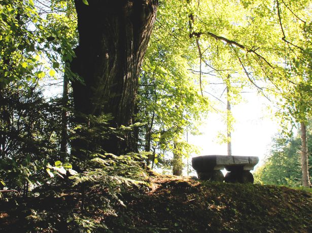 Kauschlerhof Ruhe Entspannung