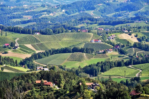 Kauschlerhof Suedsteiermark Ueberblick Region