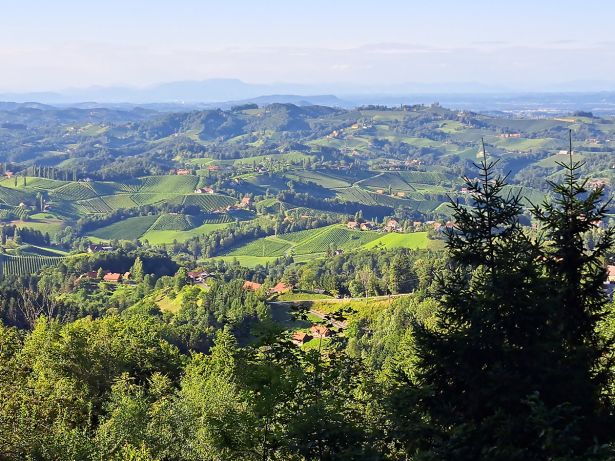 Ausblick in die Südsteiermark Richtung Graz