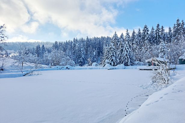 Kauschlerhof Suedsteiermark Teich Winter