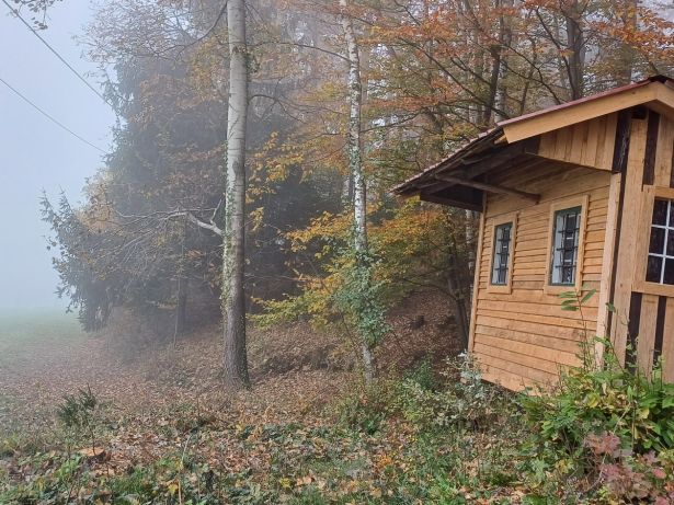 Stimmung Die Hütte Im Alten Mischwald