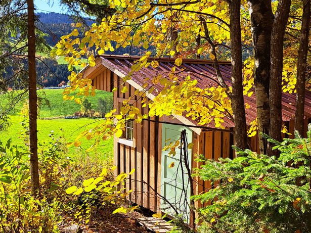 Die Huette Im Wald im Sommer 