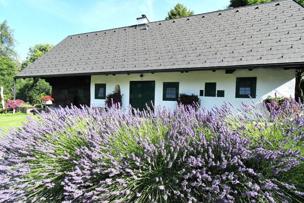 Kauschlerhof Ferienhaus Haus Lavendel
