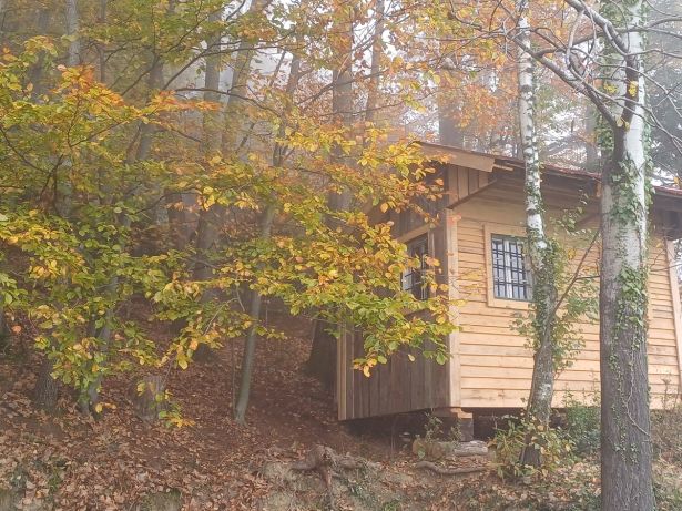 Abgelegene Waldhütte für Rückzug