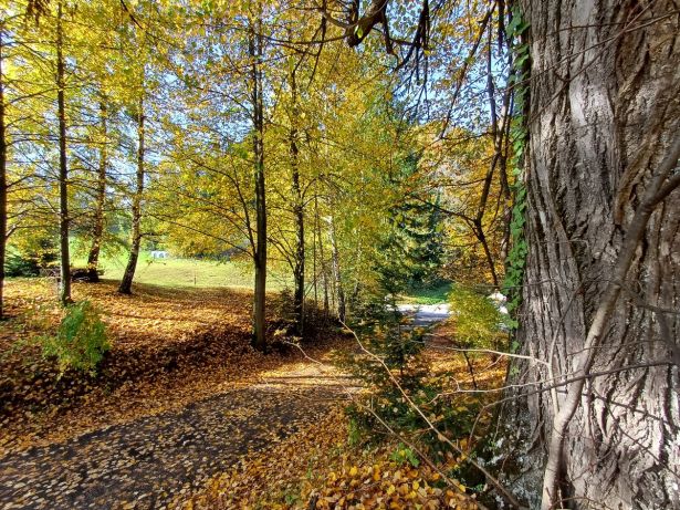 Schone Laubstimmung Zufahrt Kauschlerhof