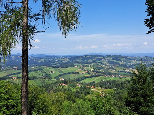 Weinland Hugel Panorama Blick