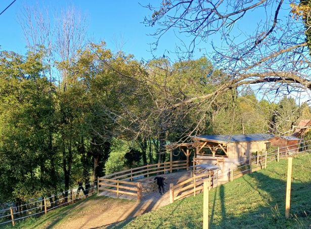 Pferdestall Kauschlerhof