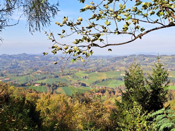 Ausblick Im Herbst Auf Das Sudsteirische Weinland